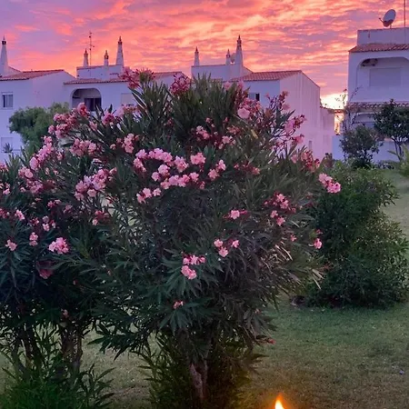 Castelo Da Esperanca Na Sra Da Rocha *